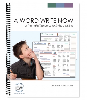 A Word Write Now: A Thematic Thesaurus for Stylized Writing