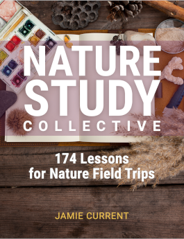 Nature Study Collective: 174 Lessons for Nature Field Trips