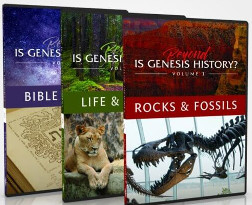 beyond is genesis history2