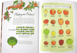 farm anatomy apples