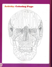 know your skeletal system
