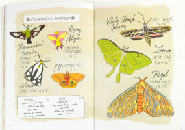 nature anatomy pages