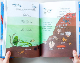 ocean anatomy pages