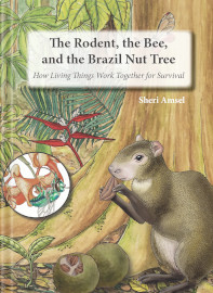 The Rodent, the Bee, and the Brazil Nut Tree: How Living Things Work Together for Survival